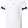 Maillotdefootpascher Enfant Puma