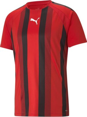Puma Teamliga Homme